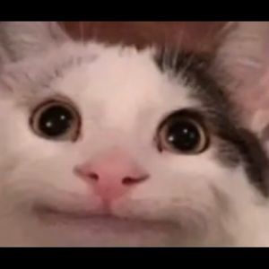 Meet your Posher, Himanshu